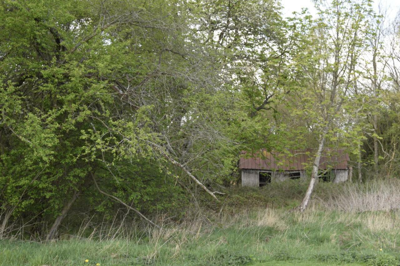 Appartamento Fredensholm Annex Skanderborg Esterno foto